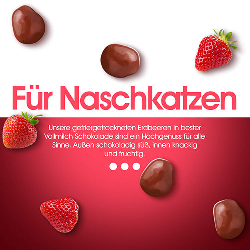Schoko-Erdbeeren-Vollmilch-für-Naschkatzen